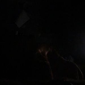 Meet your Posher, Ethan